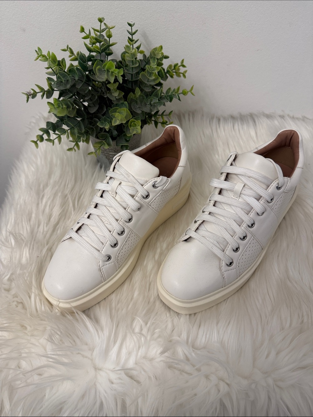 Paolo lace up sneakers